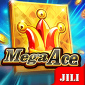 Mega Ace binggo slot